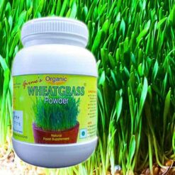 Buy Girmes Wheatgrass made of Fresh Organic Certified Wheatgrass from Shashi n Gautam Web-Shop Online India