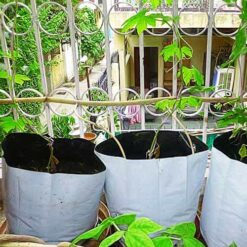 LDPE Plant Grow Bags for Home Garden by Shashi n Gautam Kitchen Gardeners Web Shop