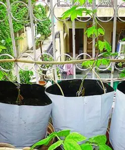 LDPE Plant Grow Bags for Home Garden by Shashi n Gautam Kitchen Gardeners Web Shop