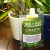 Pure Cold Press Neem oil For Plants. Organic pesticide Insecticide Fungicide for plants by Shashi n Gautam Kitchen Gardeners Web Shop