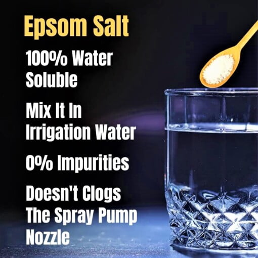 Shashi N Gautam Epsom Salt 100% Soluble