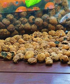 Buy leca Clay Ball growing Media for hydroponic Growing from Shashi n Gautam Kitchen Gardeners Web-Shop India Online