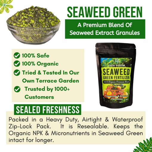 Shashi N Gautam Seaweed Fertilizer Granules Premium Seaweed Extract Mix Packed in Airtight Waterproof ZIp Lock Bag that is resealable