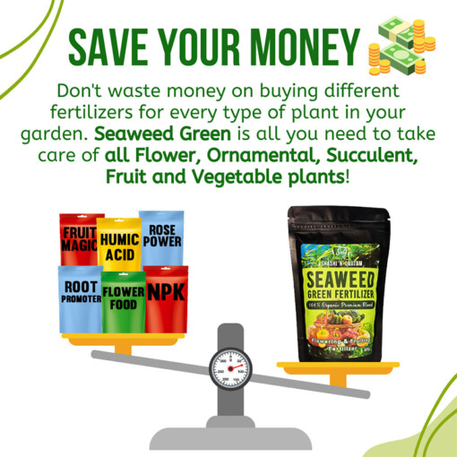Shashi N Gautam Seaweed Fertilizer Granules Premium Seaweed Extract Mix for all types of plants