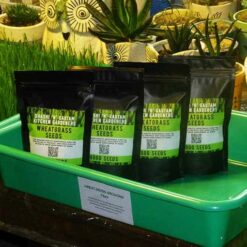 Fresh Wheatgrass Microgreens Seeds Online India