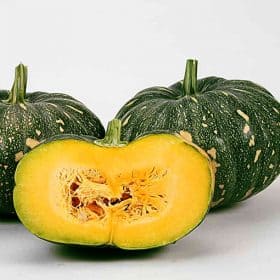 Hybrid Pumpkin Variety Seeds for Kitchen Garden