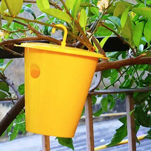 Buy Melon Fly Pheromone Trap to save vegetables from rotting in a organic way.
