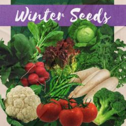 Winter Season Vegetable Seeds India