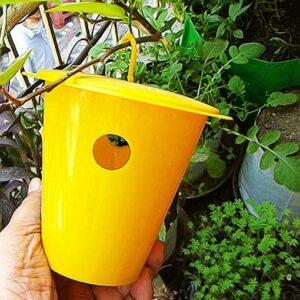 Buy Insects Trap and Sticky Trap for plants