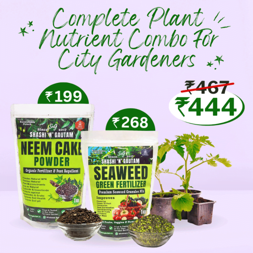 Buy Plant Fertilizer Organic Combo on Sale- Seaweed Fertilizer - Neem Cake Fertilizer from Shashi n Gautam Web Shop