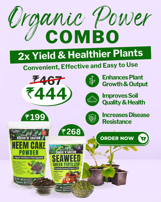 organic power combo Seaweed Fertilizer and Neem cake fertilizer - Shashi N Gautam Web Shop HPS