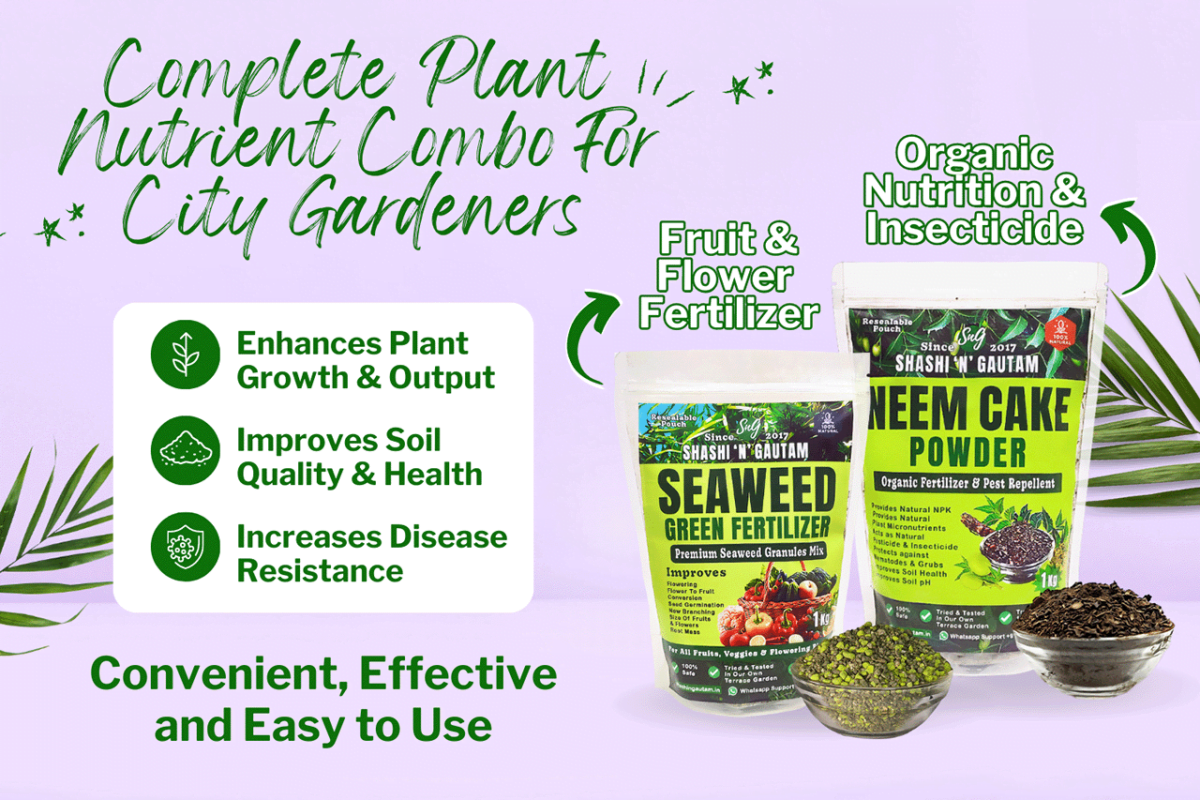 Buy Organic-Plant Fertilizer Organic Combo - Seaweed Fertilizer - Neem Cake Fertilizer Nutrition-+-Insecticide from Shashi n Gautam Web Shop