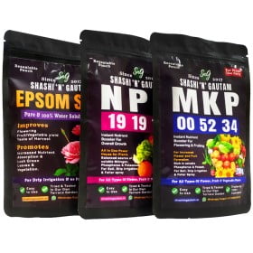 Complete Plant Nutrients Combo: Epsom Salt + NPK 19 19 19 + MKP 0 52 34