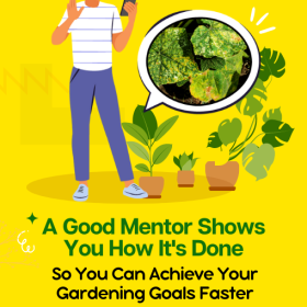 Beginner Gardener Mentorship Program