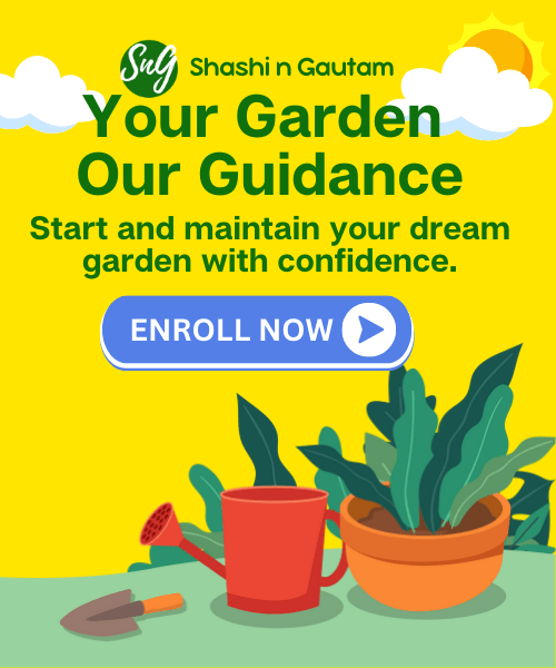 Your Garden our Guidence MB Shashi N Gautam Beginner Gardener Mentordhip Programe MB 190723