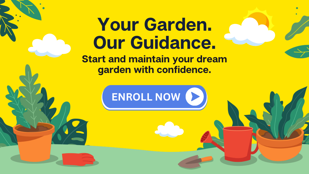 Your Garden our Guidence Shashi N Gautam Beginner Gardener Mentordhip Programe 190722