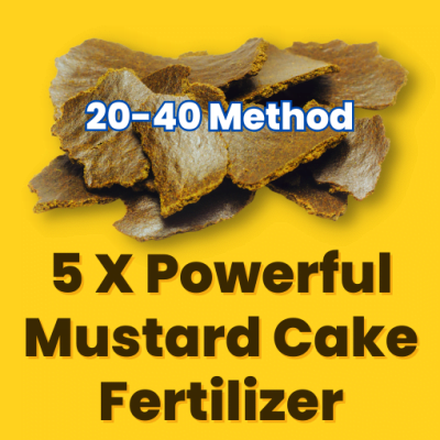 Boost Mustard Cake Fertilizer Power 5x