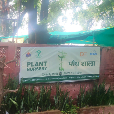 Dev Bhoomi Pusa Nursery | Fruit Plant Nursery Delhi. ICAR Pusa Delhi