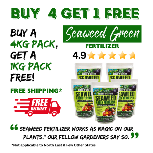 Seaweed Green Fertilizer 4kg Saver Packs by Shashi N Gautam