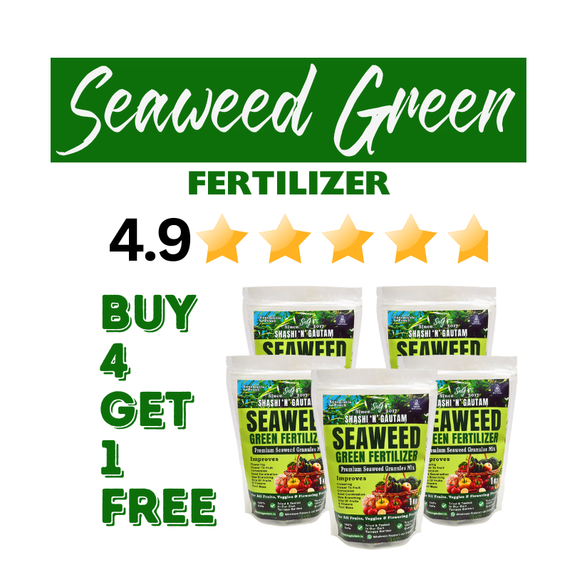 Seaweed Green Fertilizer 4kg Saver Packs by Shashi N Gautam Buy 4 Get 1 Free