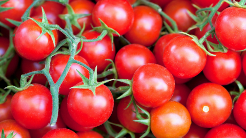 Cherry Tomato Harvest - Seeds from Shashi n Gautam