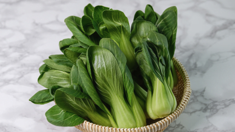 Pak Choi Harvest - Seeds from Shashi N Gautam