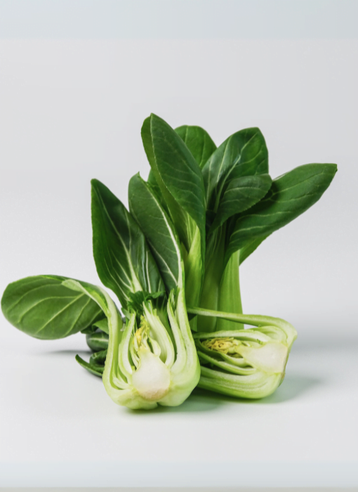 Pak Choi Seeds from Shashi N Gautam 120824