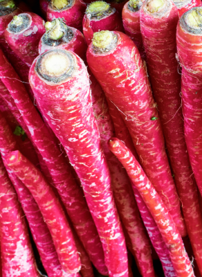 Desi Carrot Harvest - Desi Carrot Seeds from Shashi N Gautam v1