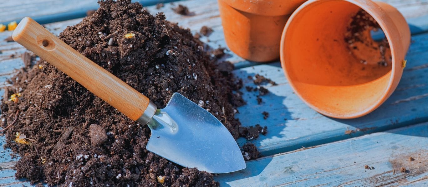 Best soil mix for strawberries in pots