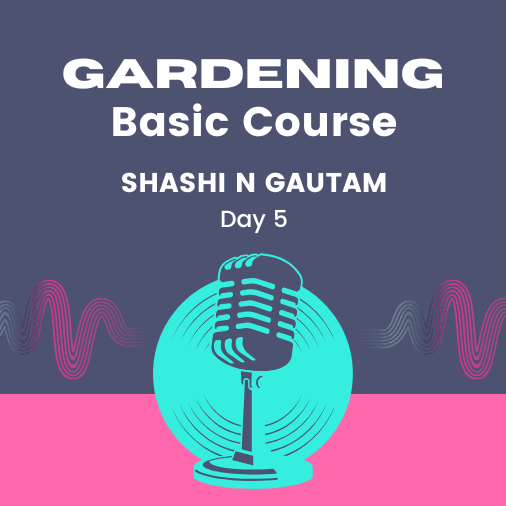 Gardening Basic Course Day 5