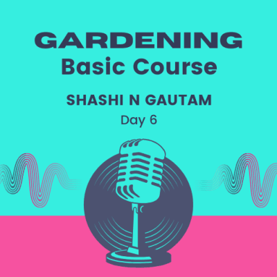 Gardening Basic Course Day 6